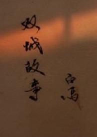 双城故事主演