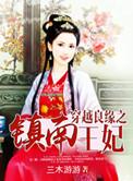 穿越良缘之镇南王妃txt
