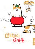 遛狗的陈先生前任