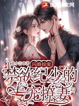 闪婚掠爱高冷总裁免费阅读