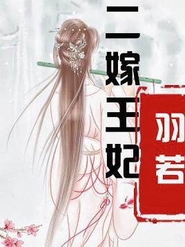 二嫁王妃不好惹