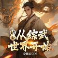 诸天从综武世界开始作者金紫辰
