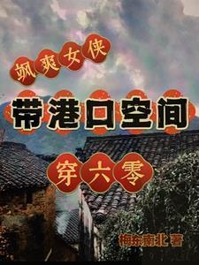 飒爽女侠带港口空间穿六零作者梅东南北