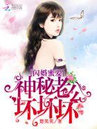 闪婚蜜爱神秘老公不离婚