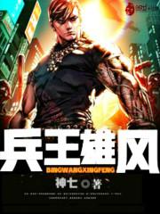 兵王大全完结篇
