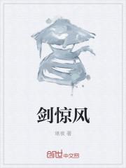 剑惊风雨福彩3d和尾字谜夜泊秦