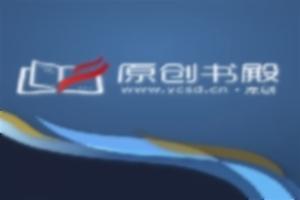 女总裁的王牌高手大电影