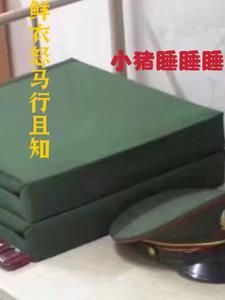 鲜衣怒马什么意思啊