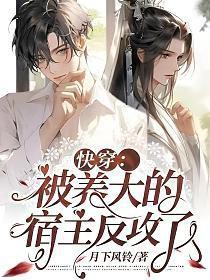 凡尘组合
