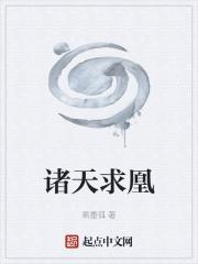 小 狐狸