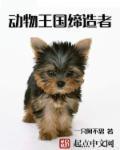 深宫缭乱尤四姐主要讲什么