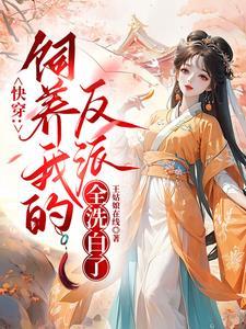 一等儿媳评论