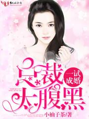 泽田纲吉技能