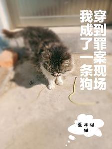 寒门状元农家妻txt书包网